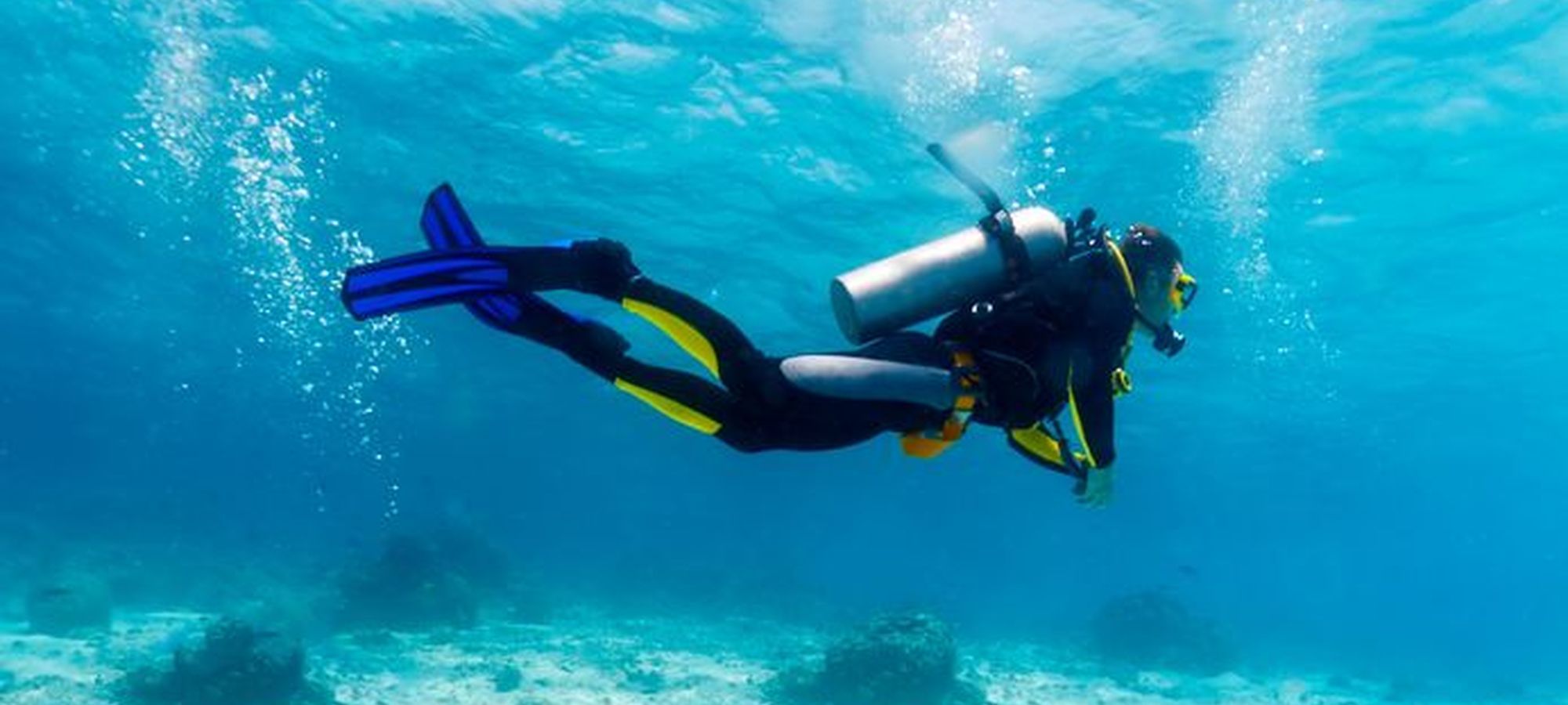 Instructeur de plongée avec Guide de la Mer / ANMP