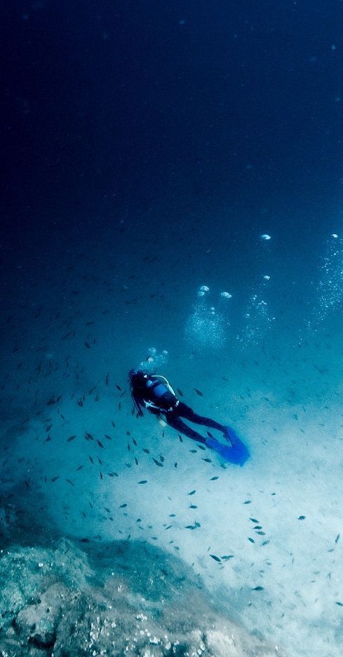 Cursus mélange et recycleur avec ANMP / Guide de la Mer