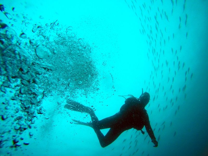 Les normes de pratique de la plongée sous-marine