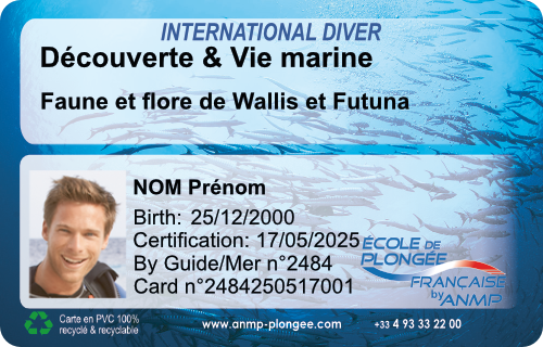 Decouverte Wallis-futuna