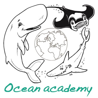 ocean academy